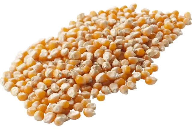 Popcorn mais 500gr stuk